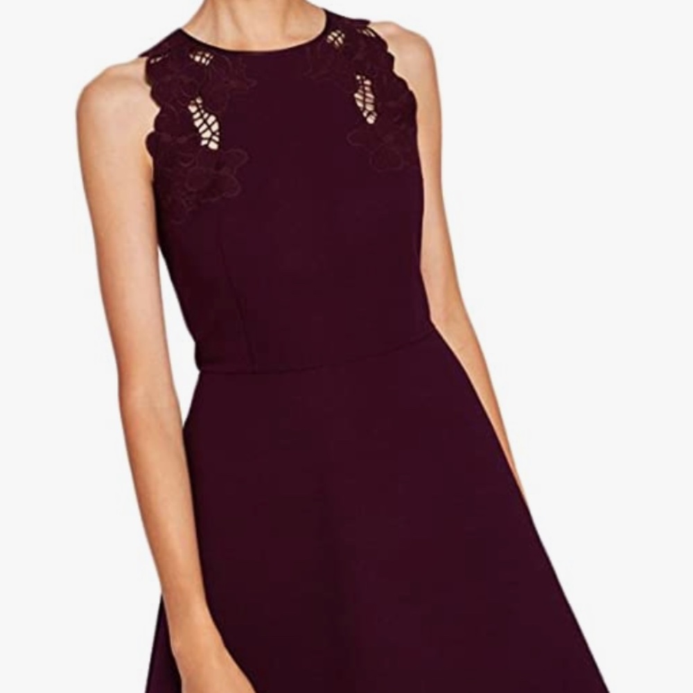 Ted Baker Emmona Embroidered Skater Dress